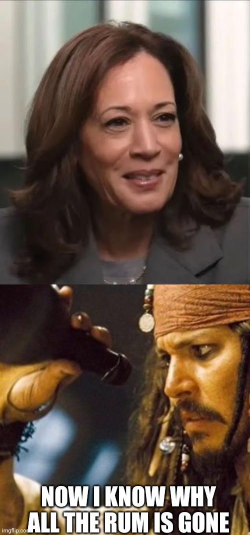 SHE'S DRUNK. IT EXPLAINS THE WHOLE INTERVIEW | NOW I KNOW WHY ALL THE RUM IS GONE | image tagged in why is the rum always gone,cnn,kamala harris,cnn fake news,politics | made w/ Imgflip meme maker