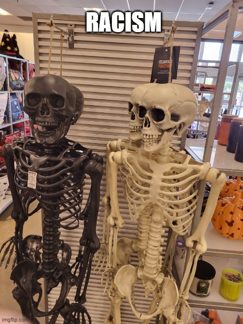 skeleton racism | RACISM | image tagged in skeleton racism,funny | made w/ Imgflip meme maker