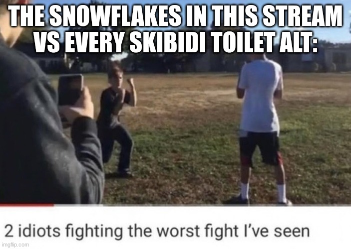 two idiots fighting | THE SNOWFLAKES IN THIS STREAM VS EVERY SKIBIDI TOILET ALT: | image tagged in two idiots fighting | made w/ Imgflip meme maker