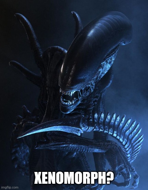 Alien Xenomorph | XENOMORPH? | image tagged in alien xenomorph | made w/ Imgflip meme maker