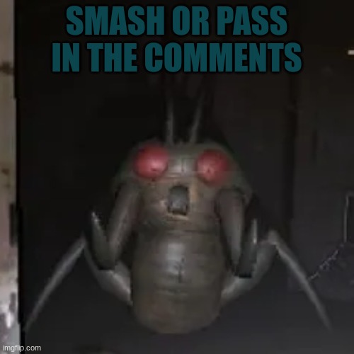 YIPPEEE BUG | SMASH OR PASS IN THE COMMENTS | image tagged in yippeee bug | made w/ Imgflip meme maker