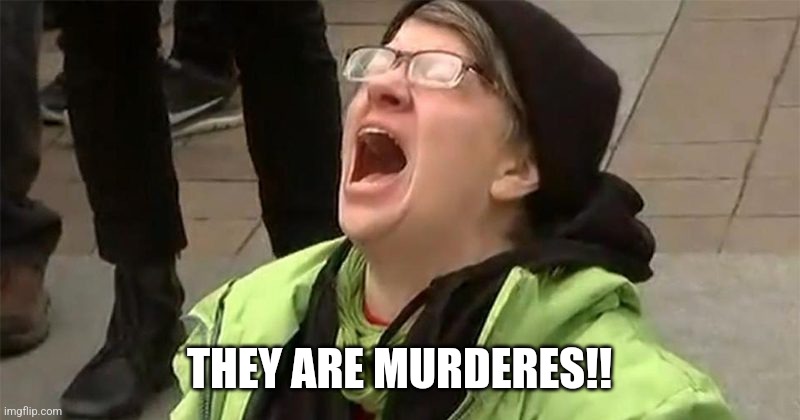 crying liberal | THEY ARE MURDERES!! | image tagged in crying liberal | made w/ Imgflip meme maker