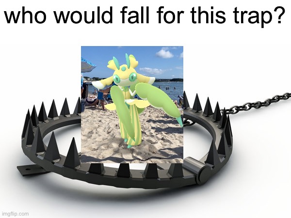 my friend would | who would fall for this trap? | image tagged in bear trap | made w/ Imgflip meme maker