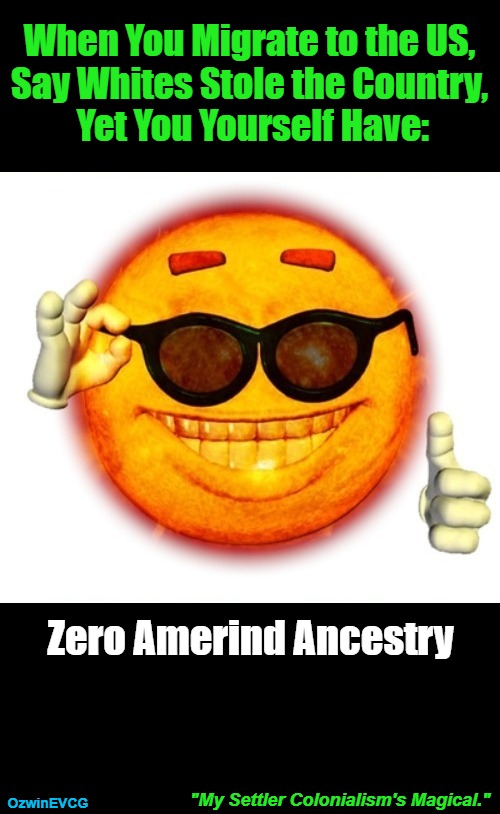 "My Settler Colonialism's Magical." [NV] | When You Migrate to the US, 

Say Whites Stole the Country, 

Yet You Yourself Have:; Zero Amerind Ancestry; "My Settler Colonialism's Magical."; OzwinEVCG | image tagged in smiling sun,antiwhite,liberal logic,migrants,amerinds,clown world | made w/ Imgflip meme maker