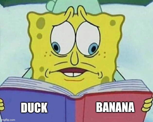 cross eyed spongebob | DUCK BANANA | image tagged in cross eyed spongebob | made w/ Imgflip meme maker