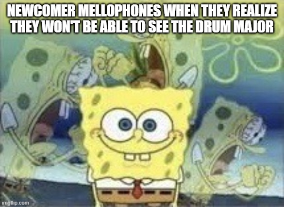 SpongeBob Internal Screaming | NEWCOMER MELLOPHONES WHEN THEY REALIZE THEY WON'T BE ABLE TO SEE THE DRUM MAJOR | image tagged in spongebob internal screaming | made w/ Imgflip meme maker