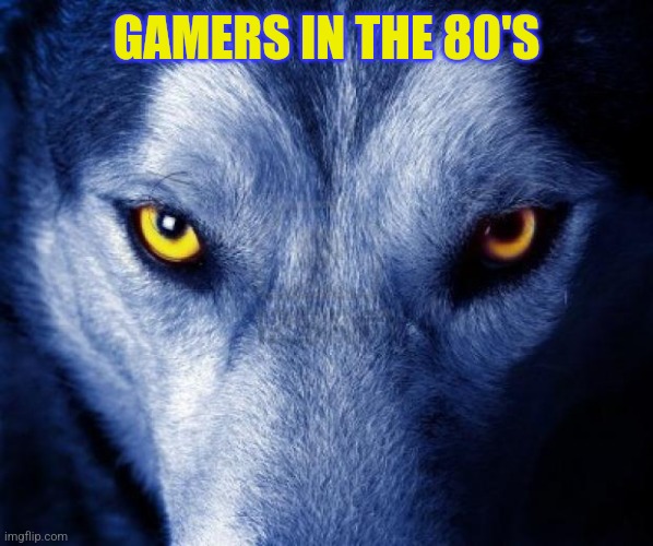 wolf | GAMERS IN THE 80'S | image tagged in wolf | made w/ Imgflip meme maker