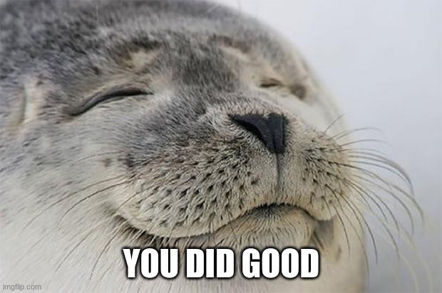 Satisfied Seal Meme | YOU DID GOOD | image tagged in memes,satisfied seal | made w/ Imgflip meme maker