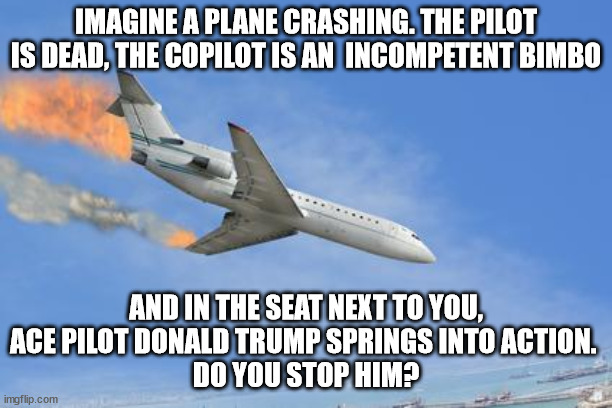 Socialism won't work because socialists wont work | IMAGINE A PLANE CRASHING. THE PILOT IS DEAD, THE COPILOT IS AN  INCOMPETENT BIMBO; AND IN THE SEAT NEXT TO YOU,
ACE PILOT DONALD TRUMP SPRINGS INTO ACTION. 
DO YOU STOP HIM? | image tagged in crashing plane,donald trump,socialism | made w/ Imgflip meme maker