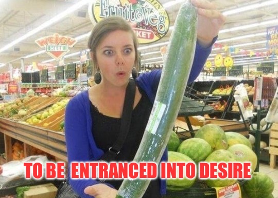 To Be Entranced Into Desire | TO BE  ENTRANCED INTO DESIRE | image tagged in the adult toy store is closed | made w/ Imgflip meme maker