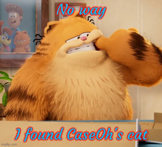 No way; I found CaseOh's cat | made w/ Imgflip meme maker