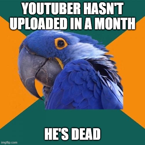 Paranoid Parrot | YOUTUBER HASN'T UPLOADED IN A MONTH; HE'S DEAD | image tagged in memes,paranoid parrot | made w/ Imgflip meme maker