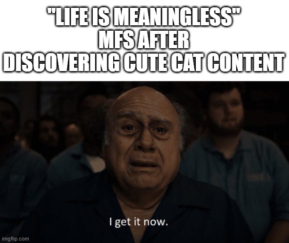 Danny devito | "LIFE IS MEANINGLESS" MFS AFTER DISCOVERING CUTE CAT CONTENT | image tagged in danny devito | made w/ Imgflip meme maker