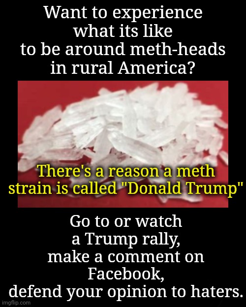 There's a Reason a Meth Strain is Named "Donald Trump" | Want to experience what its like to be around meth-heads in rural America? Go to or watch a Trump rally, make a comment on Facebook,
defend your opinion to haters. There's a reason a meth strain is called "Donald Trump" | image tagged in meth,rural america,msnbc,dnc,party of haters | made w/ Imgflip meme maker