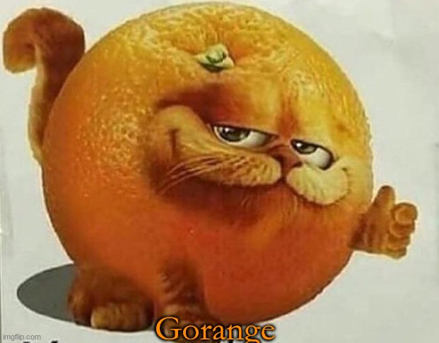 garfield orange | Gorange | image tagged in garfield orange | made w/ Imgflip meme maker