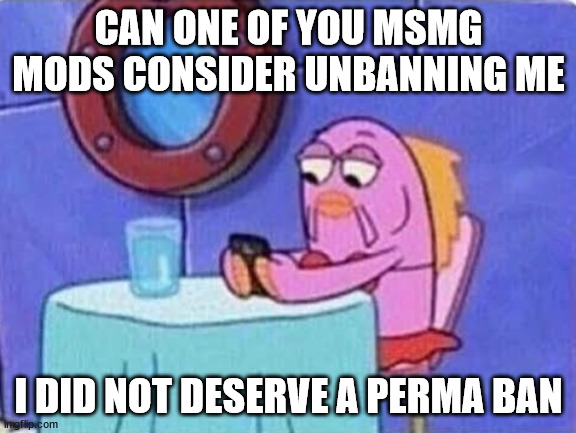 vwarg | CAN ONE OF YOU MSMG MODS CONSIDER UNBANNING ME; I DID NOT DESERVE A PERMA BAN | image tagged in bored spongebob fish on cellphone | made w/ Imgflip meme maker