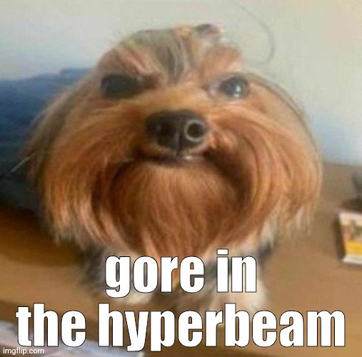 why | gore in the hyperbeam | image tagged in mark | made w/ Imgflip meme maker