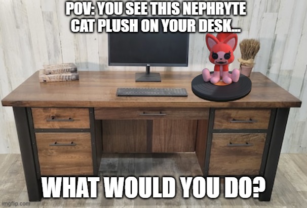 Details in tags | POV: YOU SEE THIS NEPHRYTE CAT PLUSH ON YOUR DESK... WHAT WOULD YOU DO? | image tagged in the plush is alive,she will not jumpscare you,you cannot kill her or harm her | made w/ Imgflip meme maker