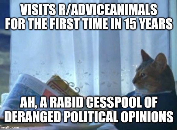 I Should Buy A Boat Cat Meme | VISITS R/ADVICEANIMALS FOR THE FIRST TIME IN 15 YEARS; AH, A RABID CESSPOOL OF DERANGED POLITICAL OPINIONS | image tagged in memes,i should buy a boat cat | made w/ Imgflip meme maker