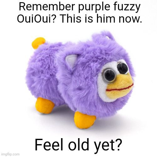 Purple Fuzzpy | Remember purple fuzzy OuiOui? This is him now. Feel old yet? | image tagged in purple fuzzpy | made w/ Imgflip meme maker