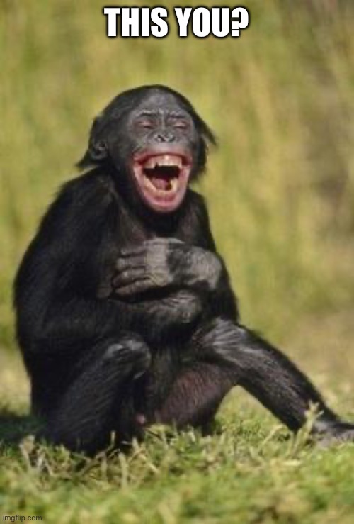 Laughing monkey | THIS YOU? | image tagged in laughing monkey | made w/ Imgflip meme maker