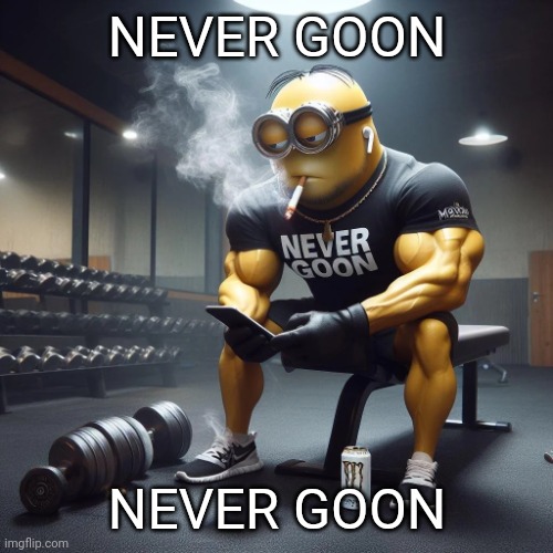 Never goon | NEVER GOON NEVER GOON | image tagged in never goon | made w/ Imgflip meme maker