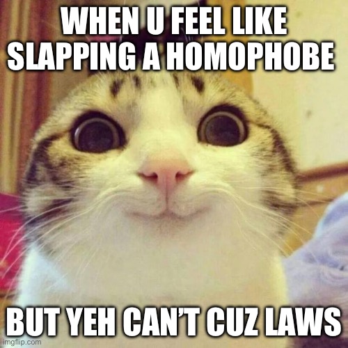 Smiling Cat | WHEN U FEEL LIKE SLAPPING A HOMOPHOBE; BUT YEH CAN’T CUZ LAWS | image tagged in memes,smiling cat,gay pride,lgbtq | made w/ Imgflip meme maker