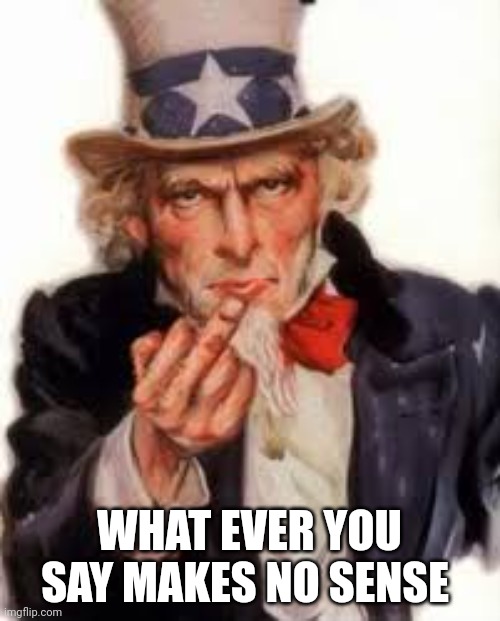 What Ever You Say Makes No sense | WHAT EVER YOU SAY MAKES NO SENSE | image tagged in uncle sam government freedom | made w/ Imgflip meme maker