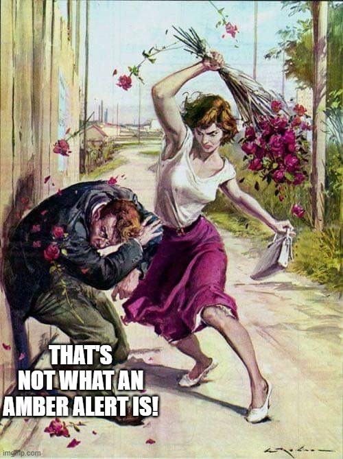 Beaten with Roses | THAT'S NOT WHAT AN AMBER ALERT IS! | image tagged in beaten with roses | made w/ Imgflip meme maker