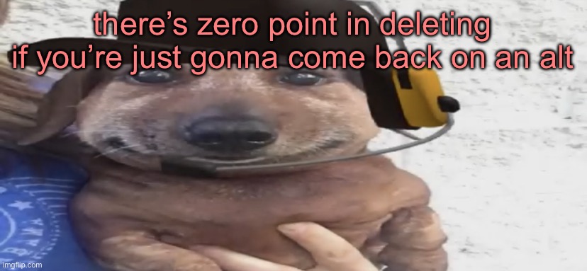 like you’re just doing it for attention | there’s zero point in deleting if you’re just gonna come back on an alt | image tagged in chucklenuts | made w/ Imgflip meme maker