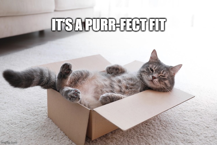 memes by Brad - the cats box is a purr-fect fit | IT'S A PURR-FECT FIT | image tagged in funny,cats,kitten,funny cat memes,cute kittens,humor | made w/ Imgflip meme maker