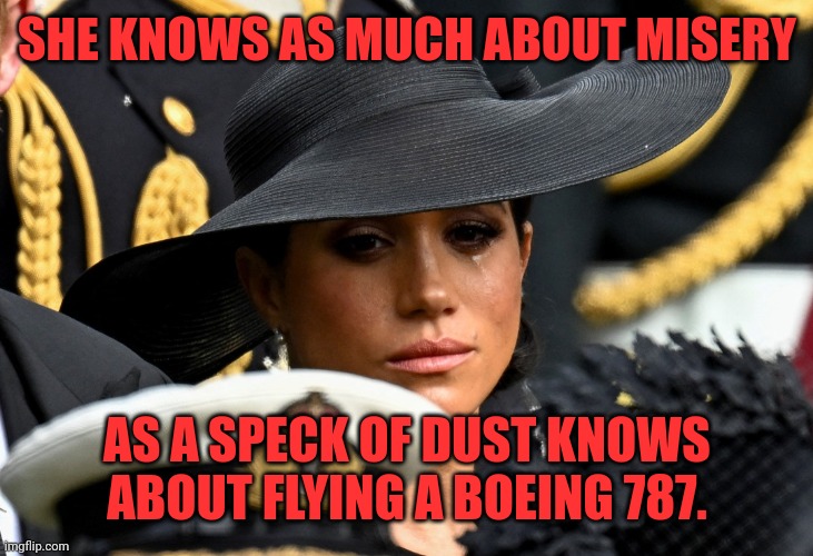 What does she know? | SHE KNOWS AS MUCH ABOUT MISERY; AS A SPECK OF DUST KNOWS ABOUT FLYING A BOEING 787. | image tagged in meghan markle crying,spoiled brat,out of touch,clueless,what does she know | made w/ Imgflip meme maker