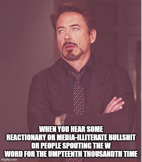 Face You Make Robert Downey Jr | WHEN YOU HEAR SOME REACTIONARY OR MEDIA-ILLITERATE BULLSHIT OR PEOPLE SPOUTING THE W WORD FOR THE UMPTEENTH THOUSANDTH TIME | image tagged in memes,face you make robert downey jr | made w/ Imgflip meme maker