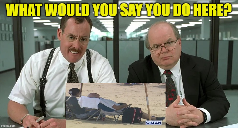 Just Wake Him When it's Over | WHAT WOULD YOU SAY YOU DO HERE? | image tagged in memes,office space,two bobs,joe biden | made w/ Imgflip meme maker