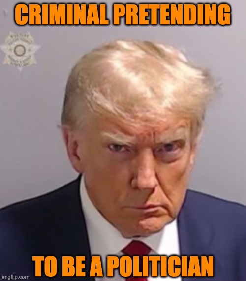 Donald Trump Mugshot | CRIMINAL PRETENDING TO BE A POLITICIAN | image tagged in donald trump mugshot | made w/ Imgflip meme maker