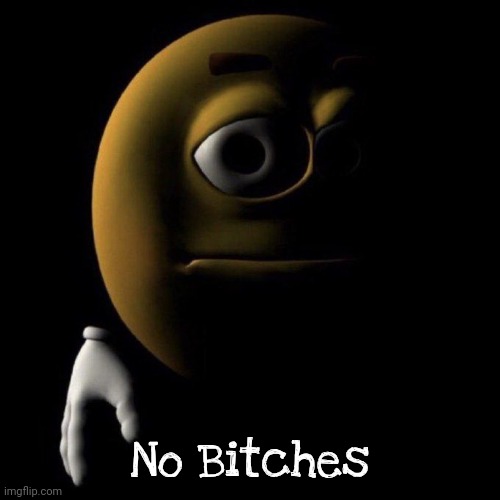 3d emoji in shadows | No Bitches | image tagged in 3d emoji in shadows | made w/ Imgflip meme maker