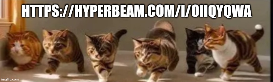 Gay sex cats | HTTPS://HYPERBEAM.COM/I/OIIQYQWA | image tagged in gay sex cats | made w/ Imgflip meme maker