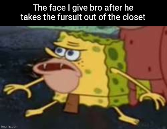 Spongegar | The face I give bro after he takes the fursuit out of the closet | image tagged in memes,spongegar | made w/ Imgflip meme maker