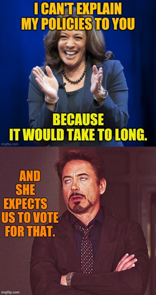 Kamala Harris' Campaign Strategy...Vagueness | image tagged in memes,politics,kamala harris,campaign,strategy,vagueness | made w/ Imgflip meme maker