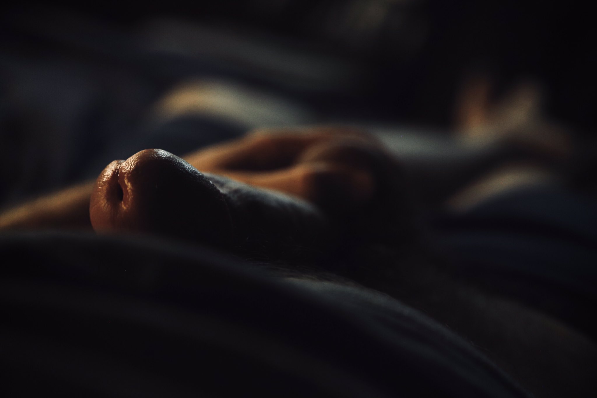 $ARTdick Blank Meme Template