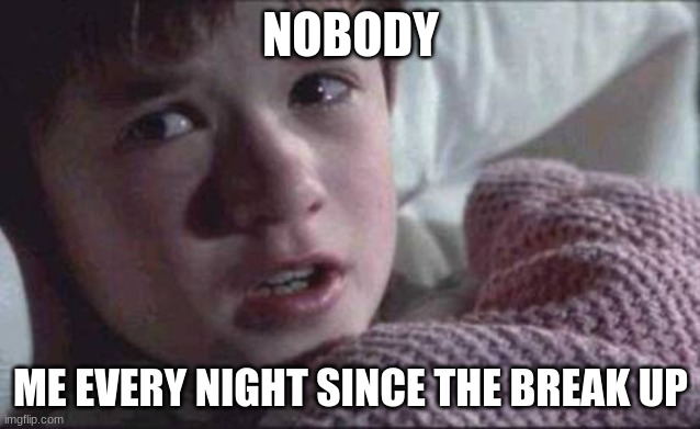 I See Dead People | NOBODY; ME EVERY NIGHT SINCE THE BREAK UP | image tagged in memes,i see dead people | made w/ Imgflip meme maker