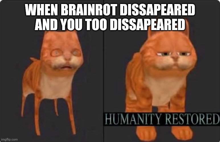 humanity restored | WHEN BRAINROT DISSAPEARED AND YOU TOO DISSAPEARED | image tagged in humanity restored | made w/ Imgflip meme maker