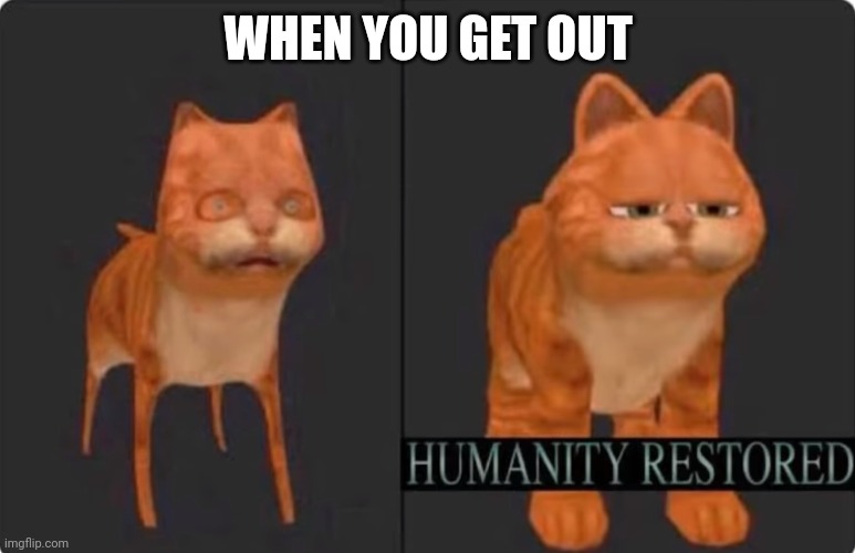 humanity restored | WHEN YOU GET OUT | image tagged in humanity restored | made w/ Imgflip meme maker