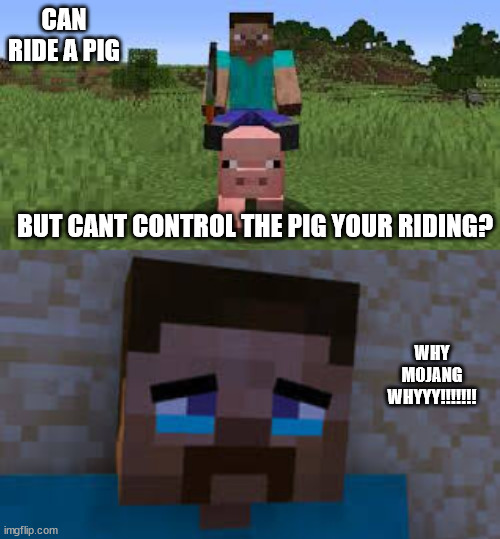 i hate this, the first time i played minecraft i tryed to control the pig... untill i noticed i wasnt controling it! | CAN RIDE A PIG; BUT CANT CONTROL THE PIG YOUR RIDING? WHY MOJANG WHYYY!!!!!!! | image tagged in minecraft | made w/ Imgflip meme maker