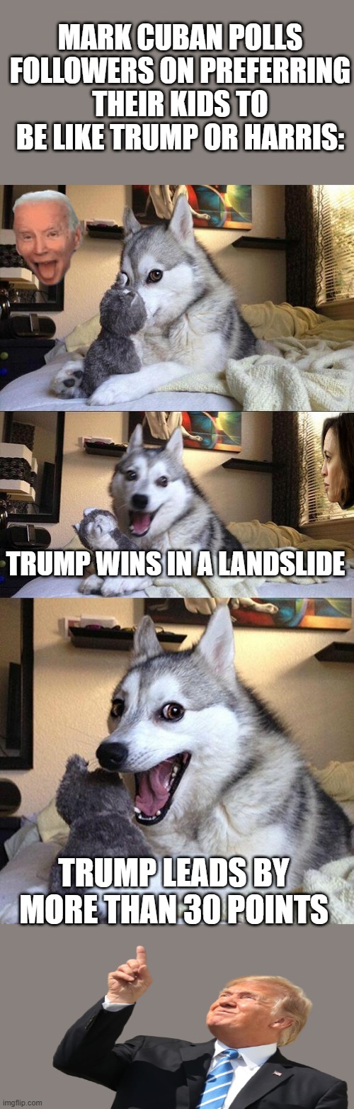 TRUMP has a proven record of peace & border control HARRIS has a record of DESTROYING AMERICA | MARK CUBAN POLLS FOLLOWERS ON PREFERRING THEIR KIDS TO BE LIKE TRUMP OR HARRIS:; TRUMP WINS IN A LANDSLIDE; TRUMP LEADS BY MORE THAN 30 POINTS | image tagged in memes,bad pun dog | made w/ Imgflip meme maker