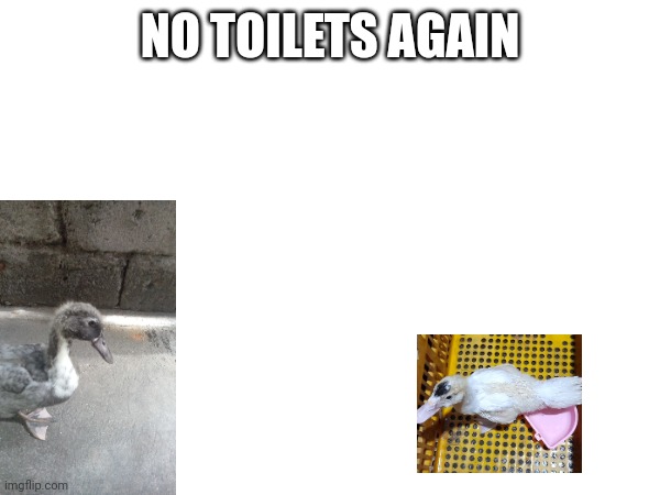 NO TOILETS AGAIN | made w/ Imgflip meme maker