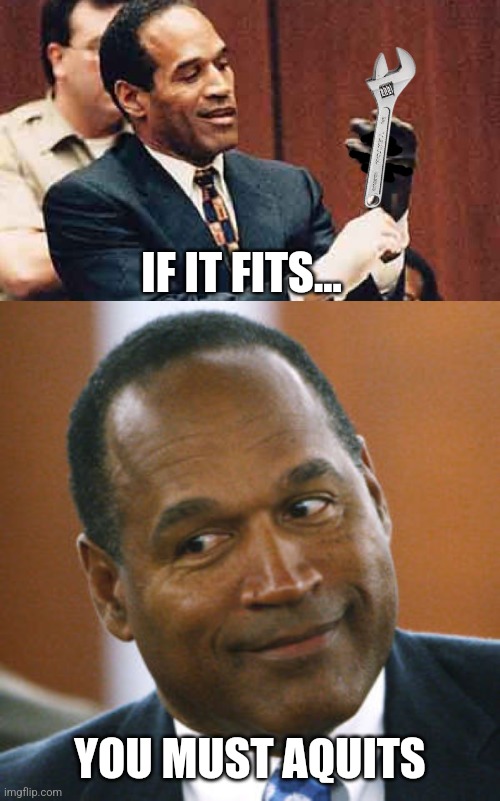 IF IT FITS... YOU MUST AQUITS | image tagged in oj simpson | made w/ Imgflip meme maker