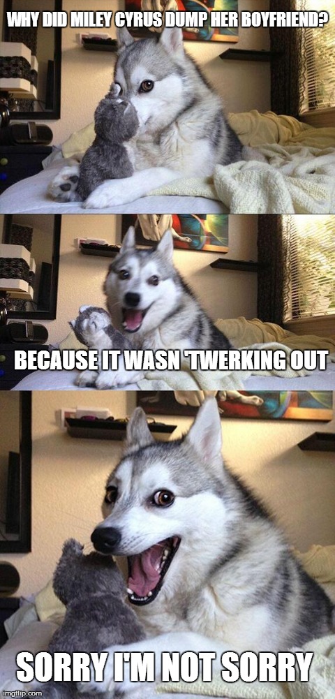 Bad Pun Dog | WHY DID MILEY CYRUS DUMP HER BOYFRIEND? BECAUSE IT WASN 'TWERKING OUT SORRY I'M NOT SORRY | image tagged in memes,bad pun dog | made w/ Imgflip meme maker