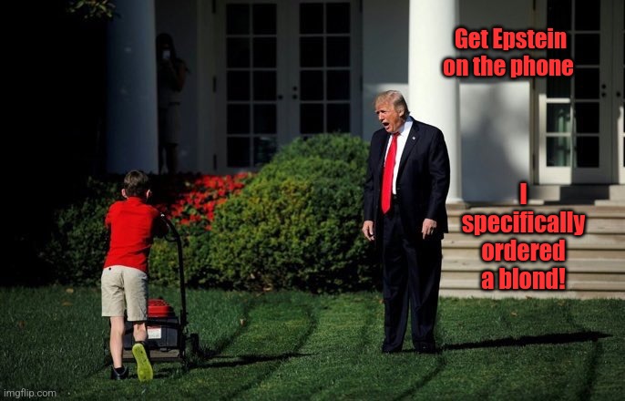 Trump Lawn Mower | Get Epstein on the phone; I specifically ordered a blond! | image tagged in trump lawn mower,scumbag republicans,terrorists,trailer trash,conservative hypocrisy,jeffrey epstein | made w/ Imgflip meme maker