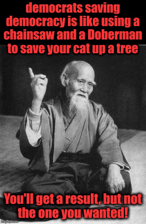 Wise Master | democrats saving democracy is like using a
chainsaw and a Doberman to save your cat up a tree; You'll get a result, but not
the one you wanted! | image tagged in wise master,memes,democrats,saving democracy,lies,cat | made w/ Imgflip meme maker